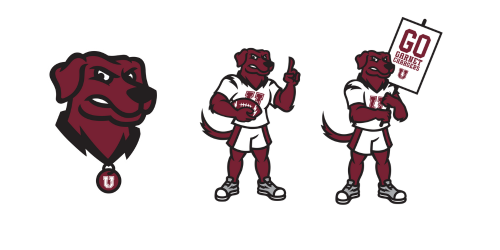 images of the charger mascot full body and just the head