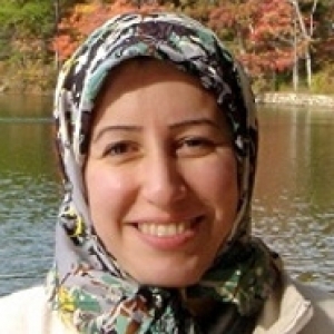 Union College Professor of Mathematics, Leila Khatami