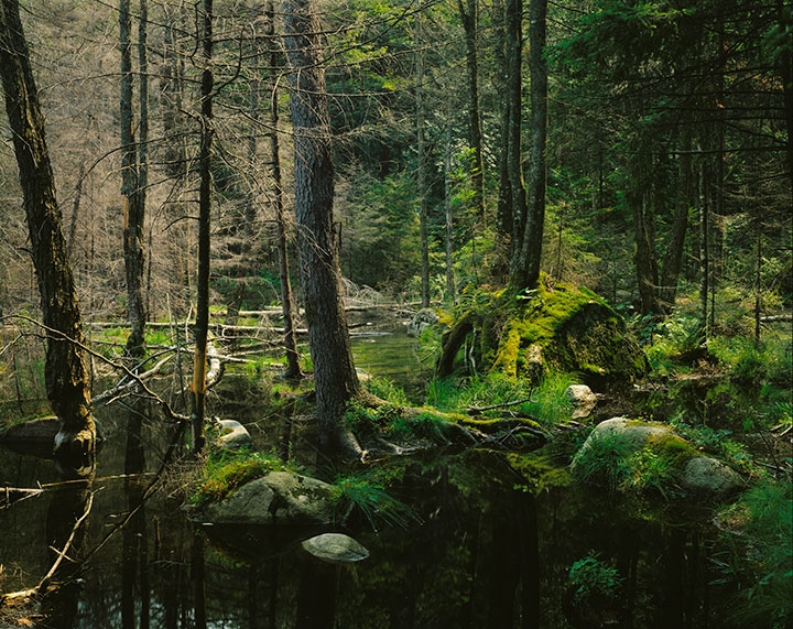 Nathan Farb, Glasby Pond