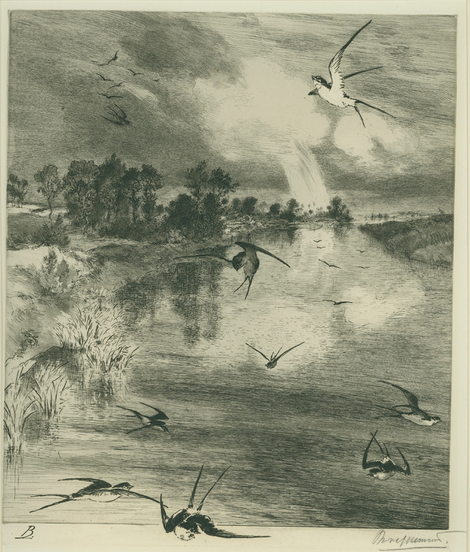 Felix Bracquemond, Swallows in Flight