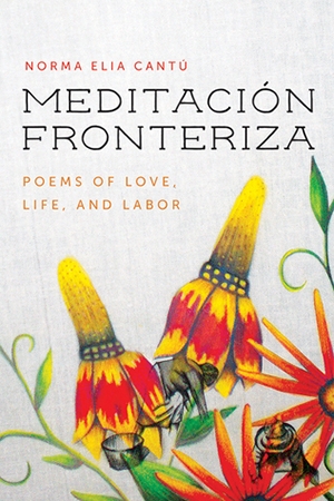 Meditación Fronteriza