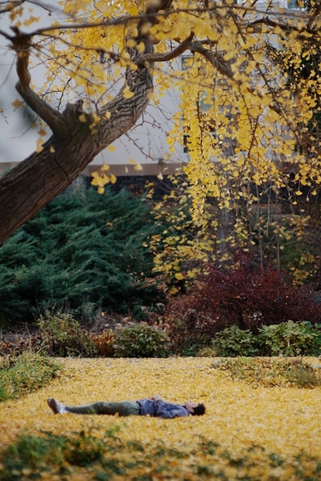 A student takes time out to relax under the ginkgo tree in Jackson's Garden. A persistently hardy species that features fan-shaped leaves that burst into spectacular golden hues in autumn, the ginkgo is the most distinctive element of the historic gardens.